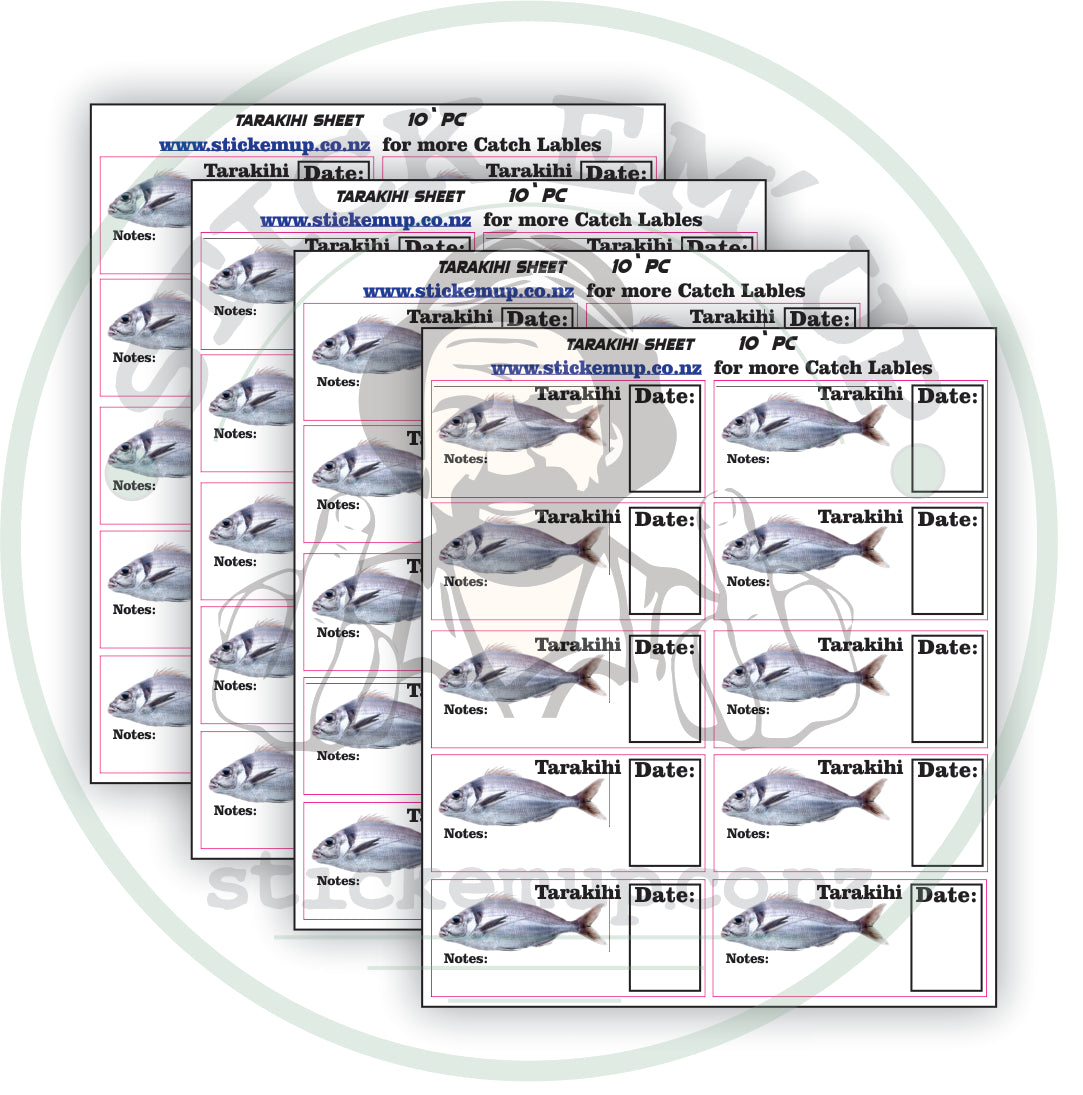 Tarakihi Fish Labels